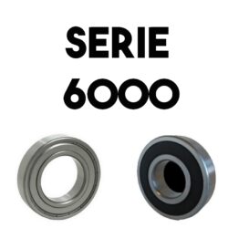 Serie 6000