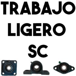 Trabajo Ligero SC