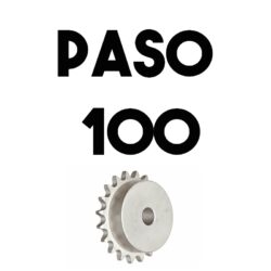 Paso 100