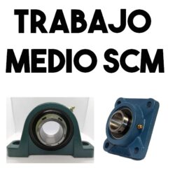 Trabajo Medio SCM