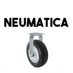 Neumatica